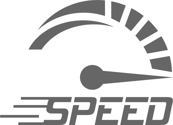 Speedometer Icon - Inspection Violations